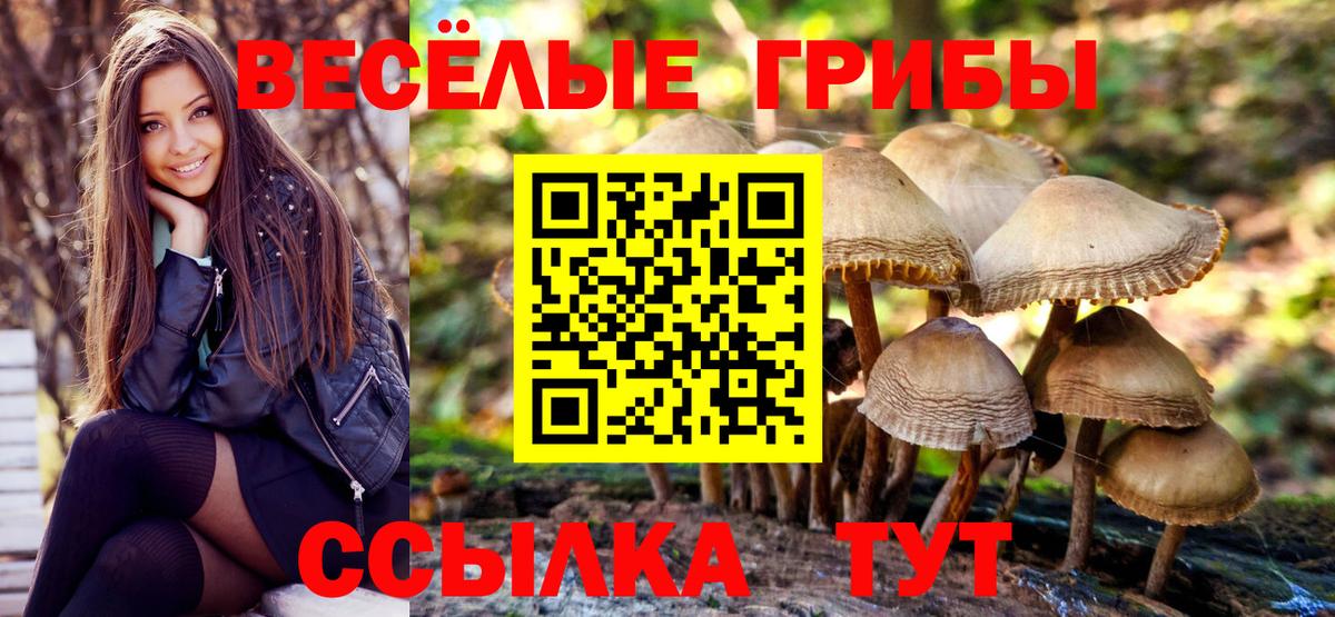 Псилоцибиновые грибы ЛСД  Вход с VPN  Губкин 